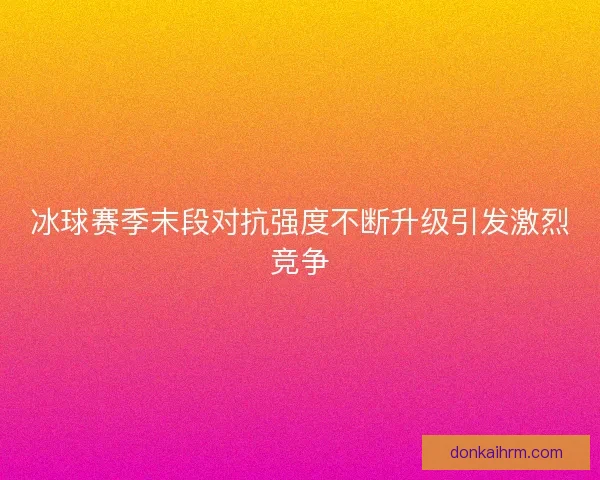 冰球赛季末段对抗强度不断升级引发激烈竞争