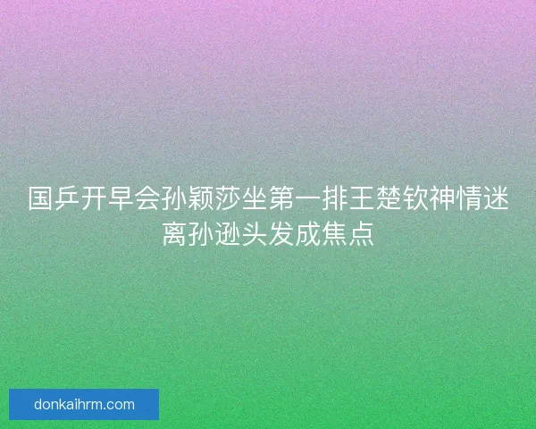 国乒开早会孙颖莎坐第一排王楚钦神情迷离孙逊头发成焦点
