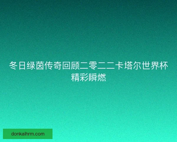 冬日绿茵传奇回顾二零二二卡塔尔世界杯精彩瞬燃